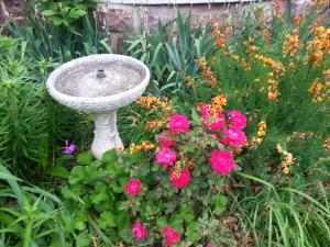 BirdBathFlowers